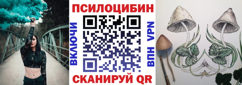 где найти наркотики Солигалич Галлюциногенные грибы мицелий
